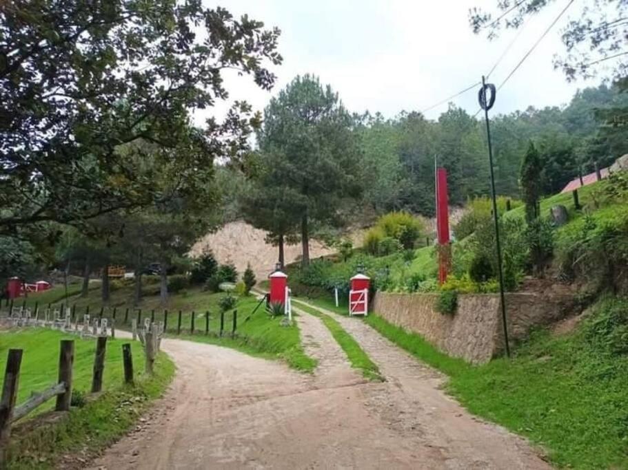 Finca Chuchiya Cabanas Tecpan Tecpán Guatemala Eksteriør billede