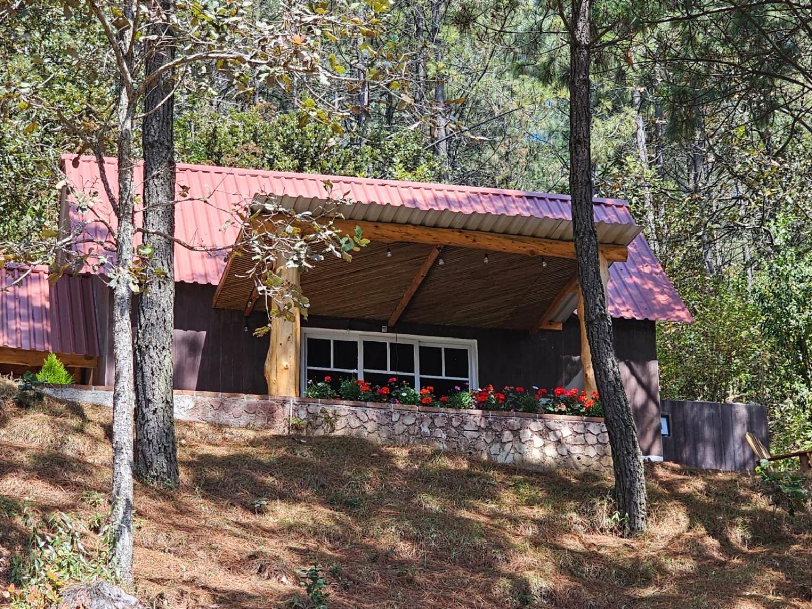 Finca Chuchiya Cabanas Tecpan Tecpán Guatemala Eksteriør billede