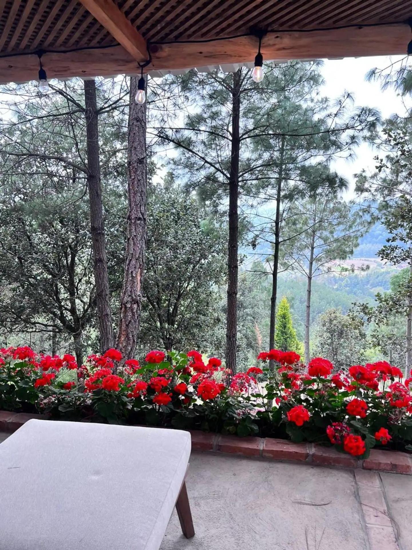 Finca Chuchiya Cabanas Tecpan Tecpán Guatemala Eksteriør billede
