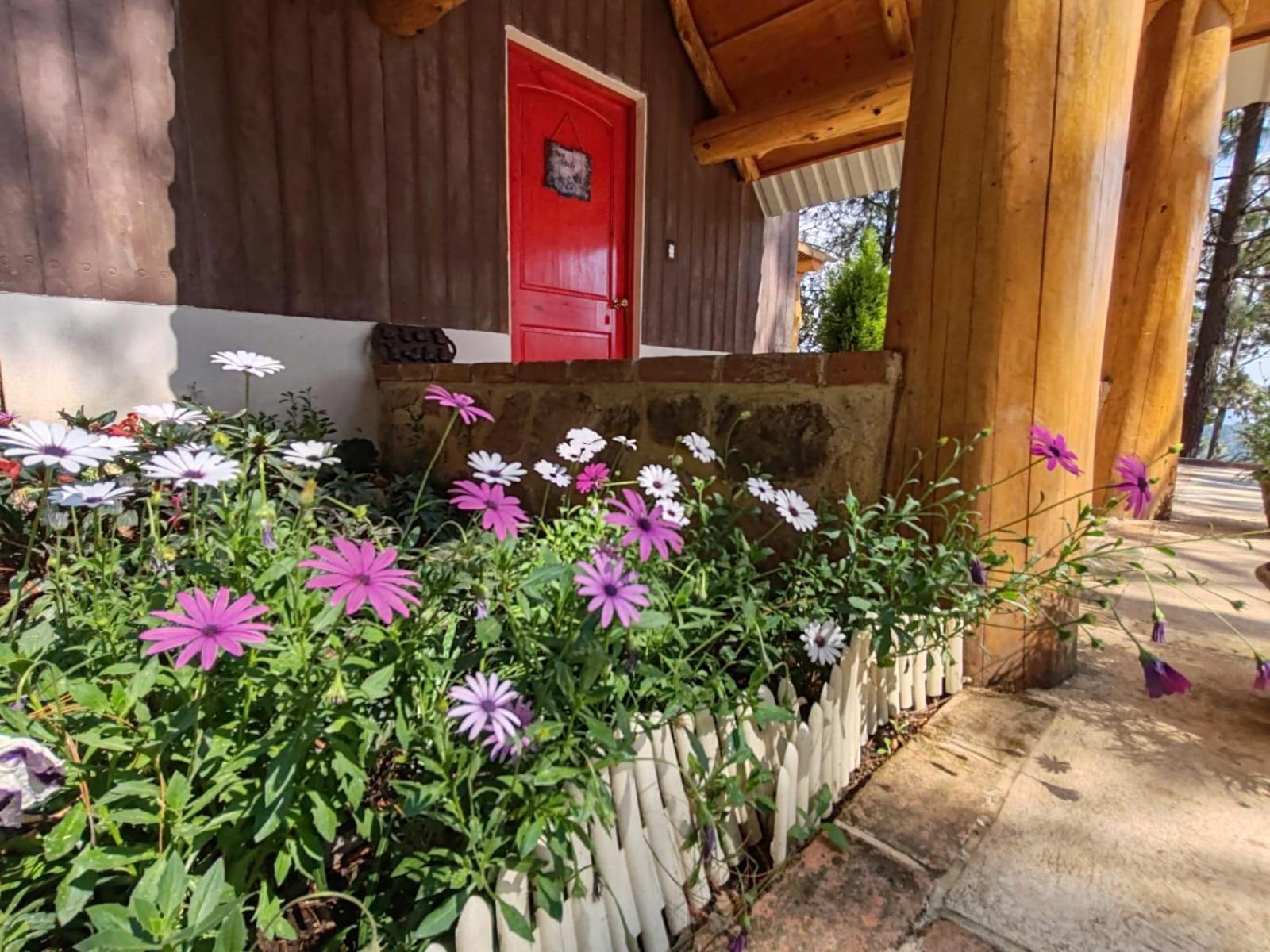 Finca Chuchiya Cabanas Tecpan Tecpán Guatemala Eksteriør billede